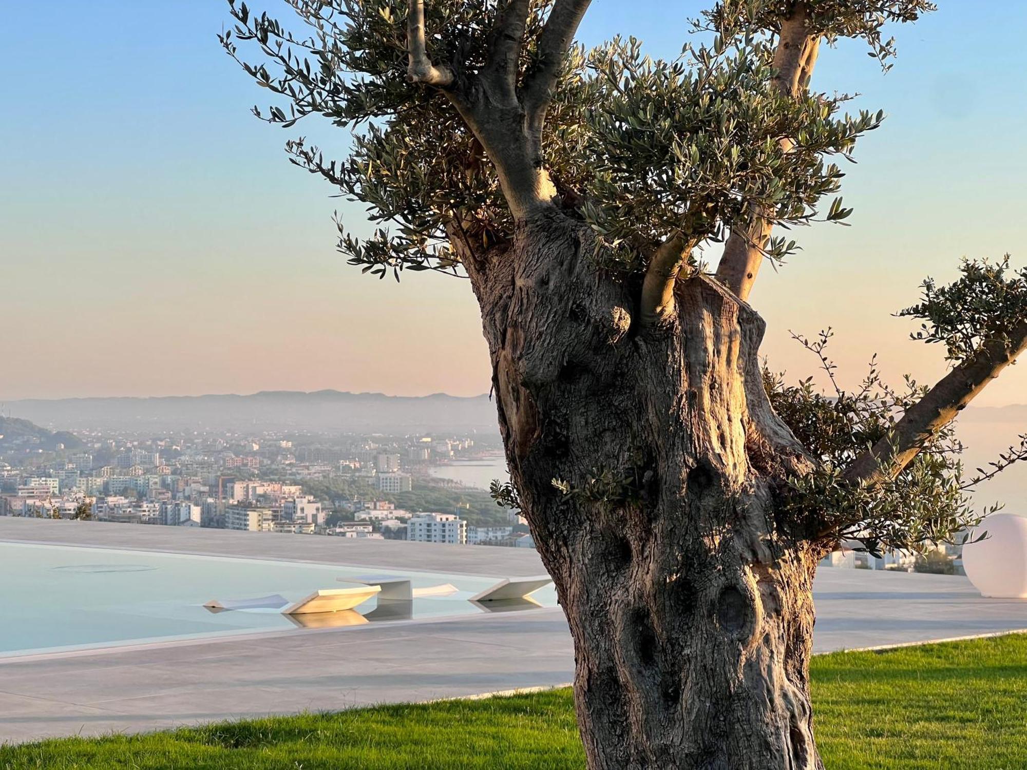Villa Esmi Durres Kryemëdhej エクステリア 写真