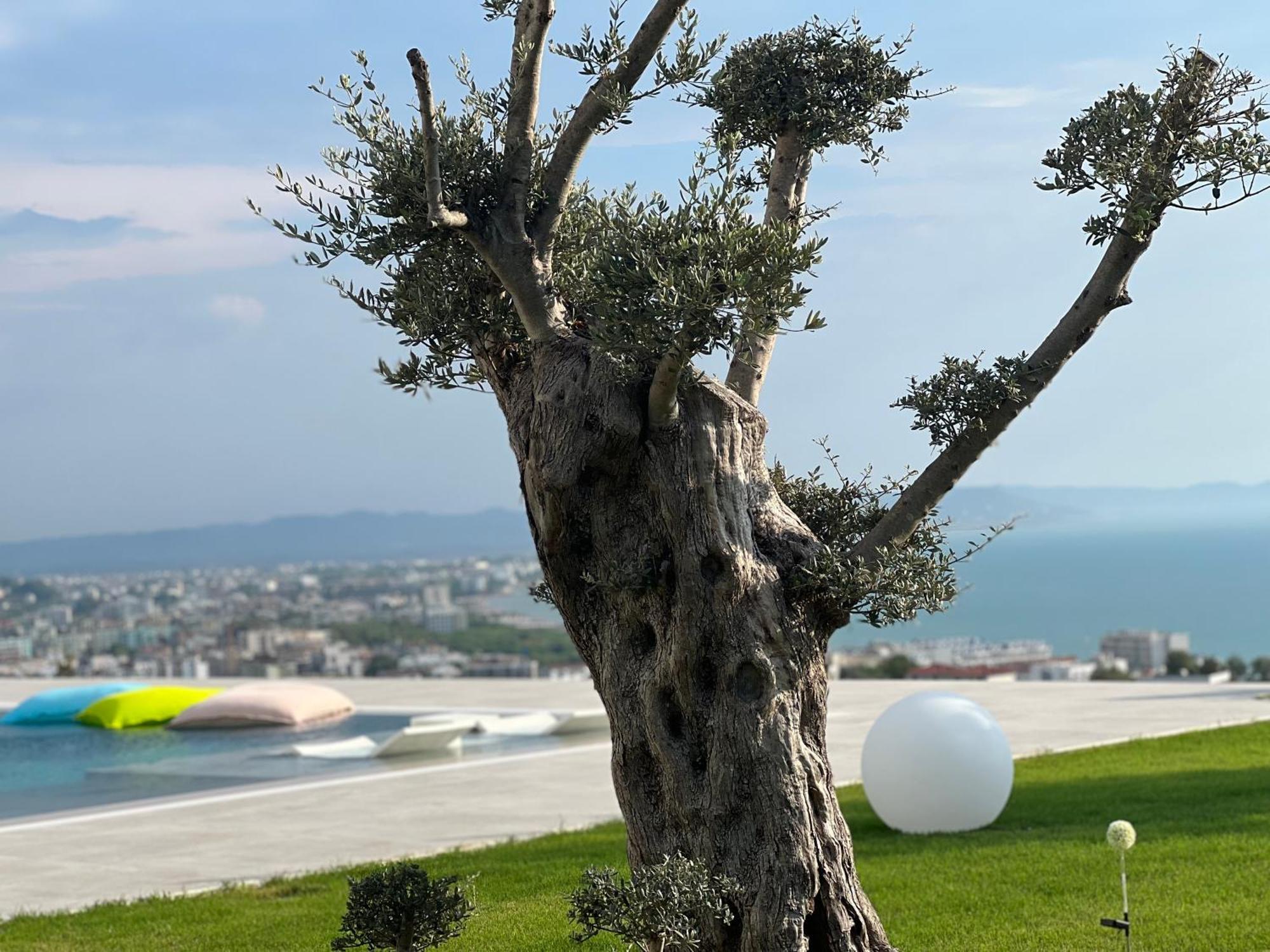 Villa Esmi Durres Kryemëdhej エクステリア 写真